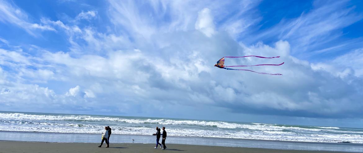 Ocean Beach avec cerf volant