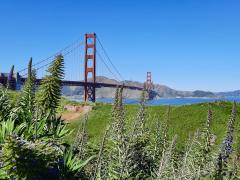 [Photo : Golden Gate Bridge à San Francisco]