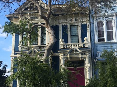 Maison victorienne à travers un feuillage San Francisco